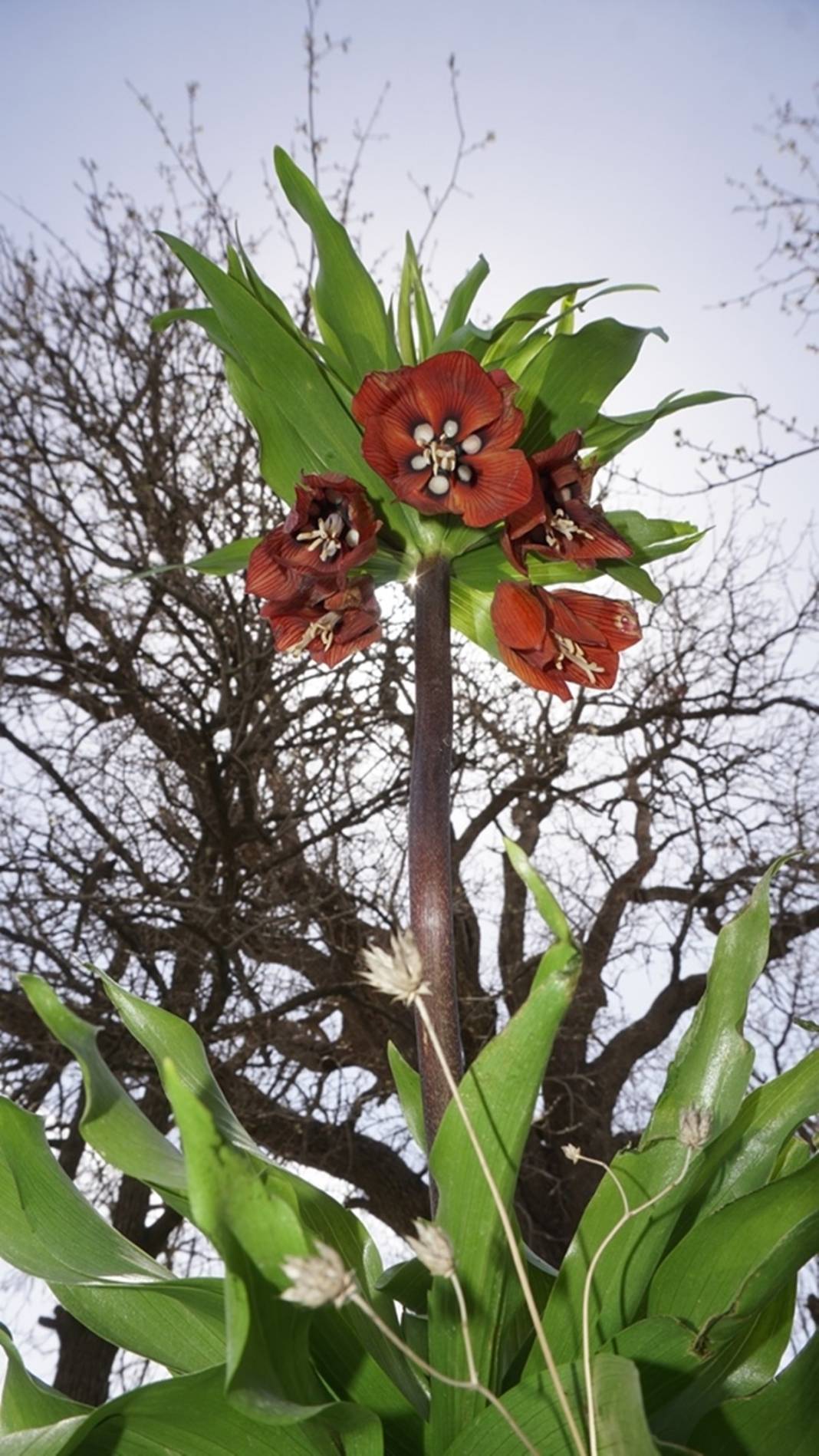 Bu insanlar neye bakıyor? Gece-gündüz nöbet tutuyorlar, ilk kez görenler şaştı kaldı! 18